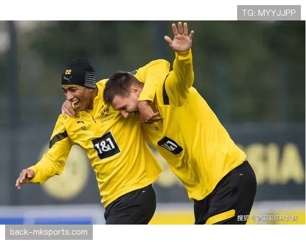 德甲球队积极补强,自由球员市场成引援新焦点 德甲球队积极补强,自由球员市场成引援新焦点