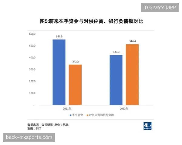 马里冲突升级：攻防失衡加剧，国际社会亟需协同应对新挑战