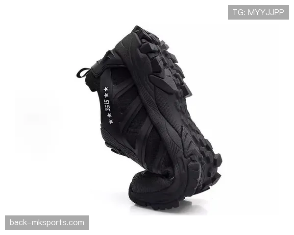 阿库尼亚战术适配性解析 阿库尼亚战术适配性解析